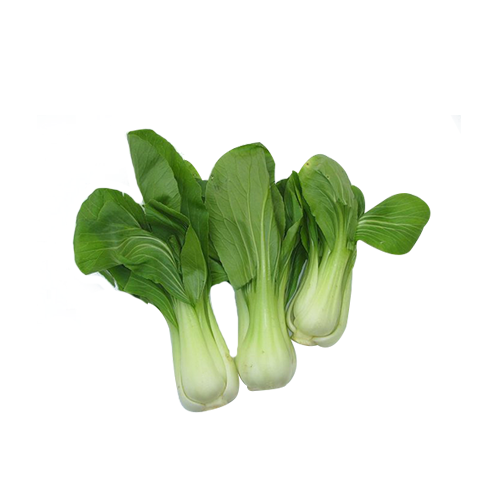 Organic Bok Choy