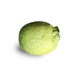 Organic Citron lime / Herelekai