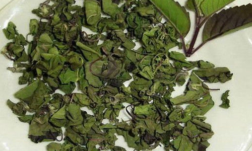 Organic Holly Basil Dry