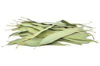 Organic Eucalyptus Leaves(Dried)