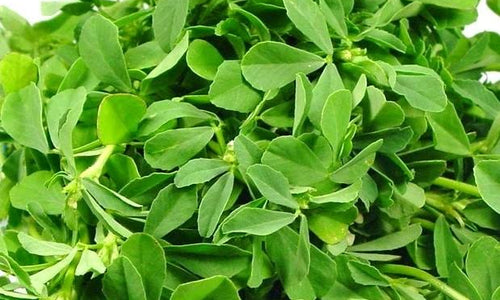 Organic Fenugreek/ Methi Chopped Leaves