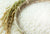 Organic Sonamasuri Rice (Polished)Gluten-Free