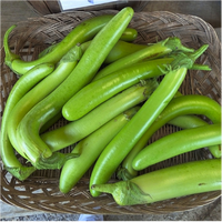 Organic Brinjal Green long