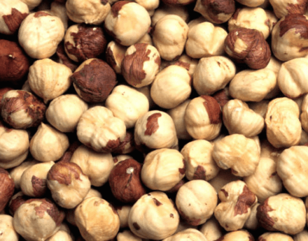 Organic Hazelnuts