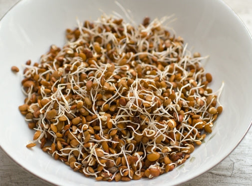 Organic Horse Gram/ Hurali Kaalu