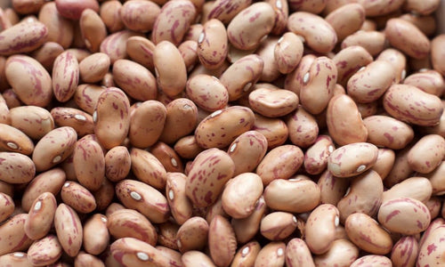 Organic Rajma Chitkabra