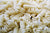 Organic  Little Millet Pasta