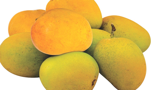 Organic Mango Imam Pasand