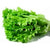 Organic Lettuce Green