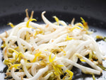 Organic Moong Bean Sprouts With Roots