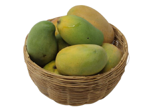 Organic Mango North Combo