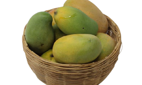 Organic Mango North Combo