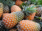Organic Pineapple -Offer