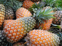 Organic Pineapple -Offer
