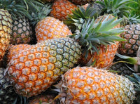 Organic Pineapple