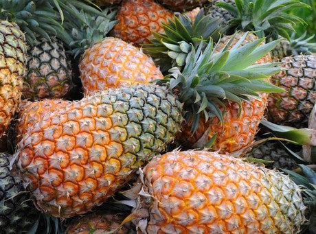 Organic Pineapple -Offer