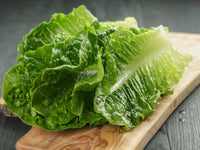 Organic Romaine Lettuce