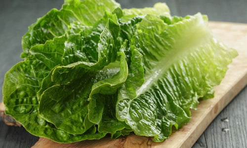 Organic Romaine Lettuce