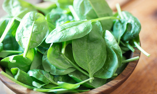 Organic Baby Spinach/Palak Leaves