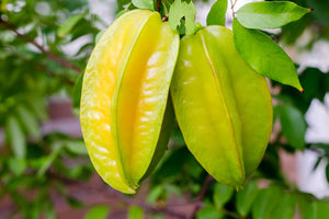 Organic Star fruit