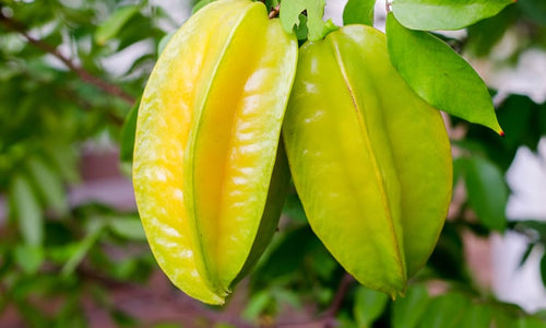 Organic Star fruit