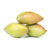 Organic Raw Mango Totapuri