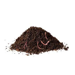 Vermi Compost