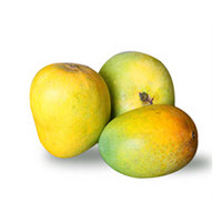 Organic Mango Alphonso big (each around 250g-300g)