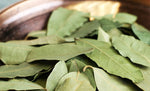 Organic Dried Allspice leaves*