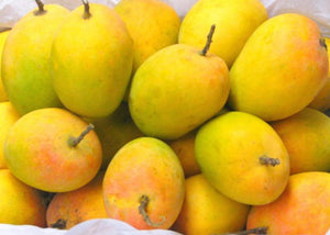 Organic Badami Mango