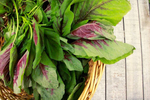 Organic Amaranthus Green