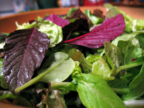 Organic Green Amaranth Leaves