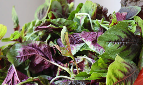 Organic Green Amaranth Leaves