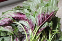 Organic Amaranthus Green-Offer