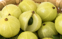 Organic Gooseberry / Amla