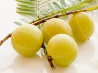 Organic Gooseberry / Amla-Offer