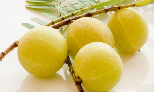 Organic Gooseberry / Amla