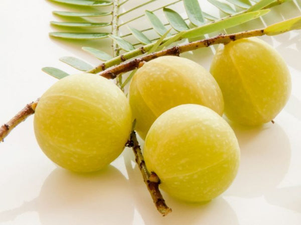 Organic Gooseberry / Amla