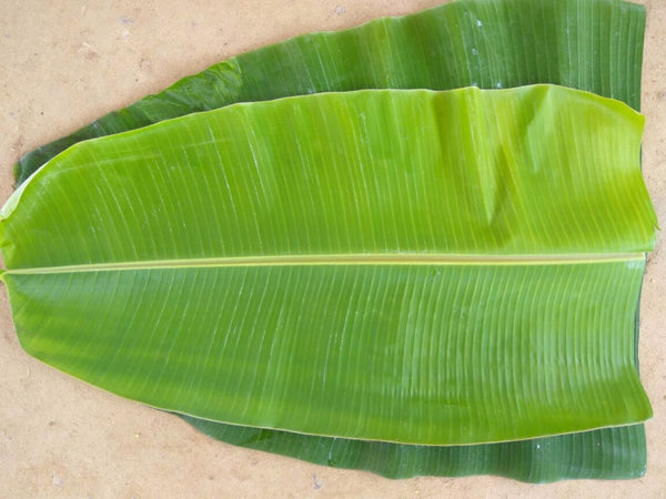 Organic Banana Leaf (pack of 5)