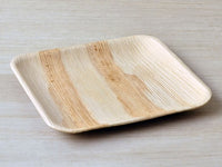 Areca Leaf Plates (100% Bio-degradable)