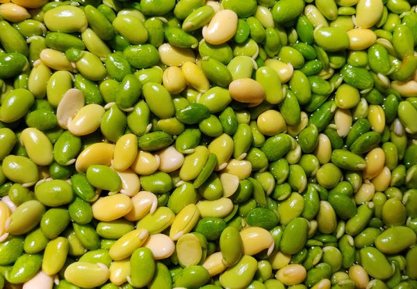 Organic Avarekai (Broad bean)