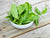 Organic Baby Spinach Leaves