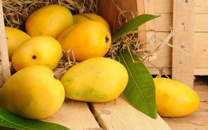 Organic Mango Benishan (Banganapalli)Small