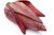 Organic Banana Flower