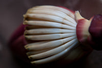 Organic Banana Blossom Peeled