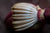 Organic Banana Blossom Peeled