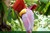 Organic Banana Flower