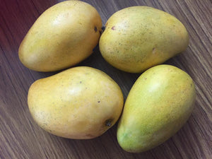 Organic Mango Benishan  (Banganapalli)