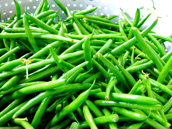 Organic French / Ring Beans