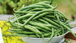 Organic  Beans (Nati)